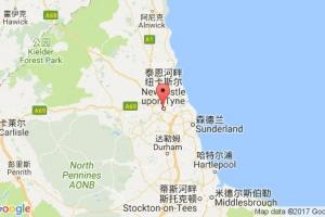 紐卡斯?fàn)柛劭诓樵僟newcastle港口代碼_英國紐卡斯?fàn)柛劭诖a